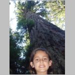 Vancouver Island Trees