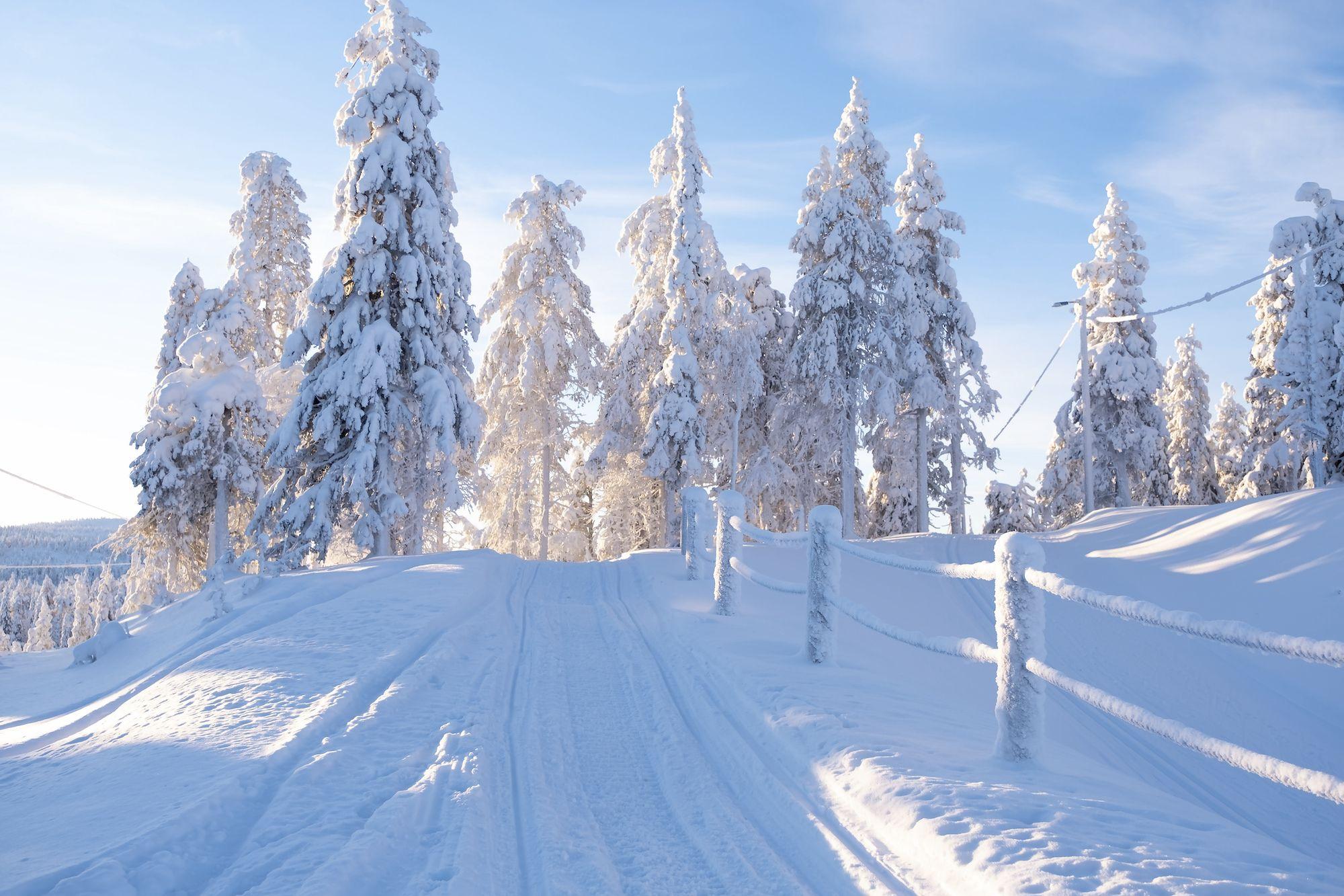 Il paesaggio innevato di Ruka ©Borisenkov Andrei/Getty Images