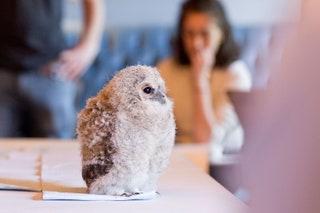 1. Try your hand at wildlife drawing  Test out your dates creative side and suss out how they are with animals at the...