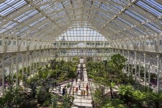 13. Get steamy in Kew Garden's hot houses  For a leafy promenade with a difference you wont find a more romantic spot...