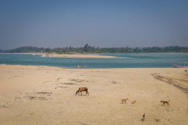 Goa Indien Paradise Beach Aussicht